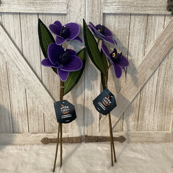 Target Hyde and Eek 2021 Halloween Creepy Flowers - Picture 1 of 7